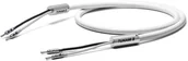 Kable - Oyaide TUNAMI II SP-B V2 Kabel głośnikowy 2 x 2.5 m - miniaturka - grafika 1