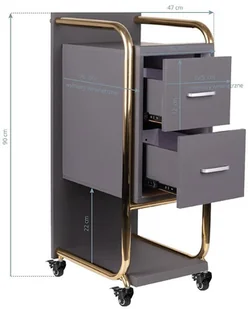 GABBIANO POMOCNIK FRYZJERSKI SOLO ZŁOTO SZARY 135396 - Meble fryzjerskie - miniaturka - grafika 10