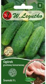 Nasiona i cebule - Legutko Ogórek gruntowy konserwowy ŚREMSKI F1 - miniaturka - grafika 1
