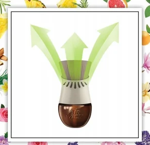 Air Wick Botanica odświeżacz powietrza elektryczny Karaibski Wetiwer & Drzewo Sandałowe - Odświeżacze powietrza Air Wick Botanica odświeżacz powietrza elektryczny Karaibski Wetiwer & Drzewo Sandałowe - Odświeżacze powietrza - miniaturka - grafika 2