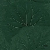 Tapety - Esta Home Jungle Fever 138997 tapeta ścienna 138997 - miniaturka - grafika 1