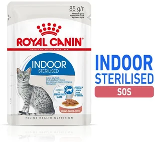 Royal Canin Indoor 400g 288060 - Mokra karma dla kotów - miniaturka - grafika 10