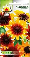 Nasiona i cebule - Toraf KWIATY Rudbekia dwubarwna nasiona 1g 00468 - miniaturka - grafika 1