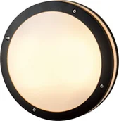 Lampy ogrodowe - AZZARDO Plafon/kinkiet Fano R 30 SMART LED RGB AZ4783 - miniaturka - grafika 1