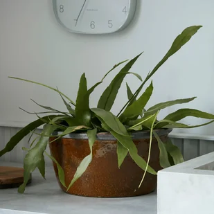 House Doctor Donica Whai L Donica Whai L - Donice - miniaturka - grafika 9