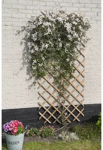 Nature Krata do pnączy, naturalne drewno, 50x150 cm, 6041701 Outsideliving - Kratki i pergole - miniaturka - grafika 2