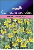 Nasiona i cebule - Top Decor Nasiona czarnuszka wschodnia - miniaturka - grafika 1