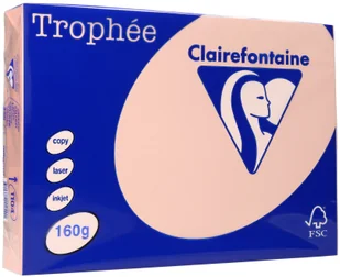 PAPIER KSERO TROPHEE A4 160g ŁOSOSIOWY 1104 250 ark. - Papier do drukarek - miniaturka - grafika 2