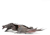Figurki dla dzieci - DRAGON Fascinations Metalowy model do składania Gra o Tron Smok icx124 - miniaturka - grafika 1