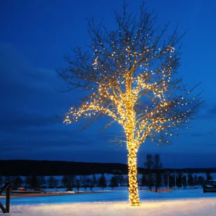 Markslojd Łańcuch świetlny Chrissline Extra 50 LED 2 300 K - Oświetlenie świąteczne - miniaturka - grafika 2