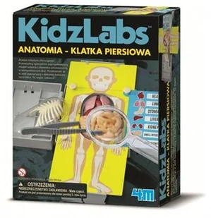 4M KidzLabs Anatomia klatka piersiowa 3373 - Mały naukowiec - miniaturka - grafika 4