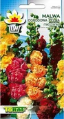 Nasiona i cebule - Toraf KWIATY Malwa ogrodowa mix nasiona 1g 00434 - miniaturka - grafika 1