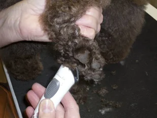 AESCULAP AESCULAP Maszynka do strzyżenia psów Exacta akumulatorowa biała GT416 - Maszynki i nożyczki dla psów - miniaturka - grafika 6