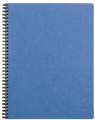 Notesy i bloczki - Clairefontaine 782524C spiralna torba na notebooka wiekowa 160 stron odpinana i perforowana 4 otwory 22,5 x 29,7 cm 90 g małe kwadraty błyszcząca okładka na karty skóra ziarno niebieski 782524C - miniaturka - grafika 1