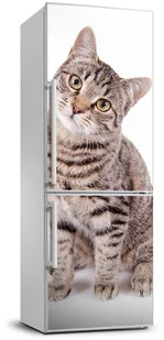 Naklejka samoprzylepna na lodówkę ścianę Kot - Naklejki na drzwi i meble - miniaturka - grafika 3