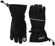 Rękawice narciarskie - Gregster Rękawice męskie gregster, czarny, l 12052-130-L - miniaturka - grafika 1