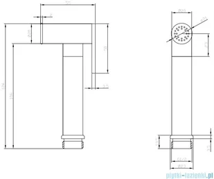 Omnires Y zestaw bidetowy punktowy podtynkowy 1-funkcyjny złoty SYSYBI2GL - Baterie bidetowe - miniaturka - grafika 4
