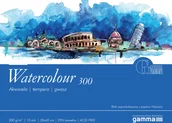 Notesy i bloczki - Gamma Blok biurowy Gamma Blok malarski Watercolour 300g 30x40 10ark - miniaturka - grafika 1