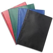 Teczki i skoroszyty - Exacompta Teczka prezentacyjna Vega nieprzejrzysty 20 hue tak 88220E - miniaturka - grafika 1