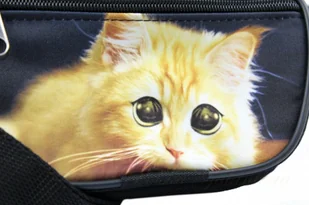 Magre (PL) Saszetka Na Pas Biodrówka Nerka Z Grafiką (PL) Materiał - Nerki - miniaturka - grafika 20