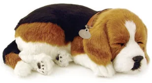 Plenty Gifts Perfect Petzzz Pluszowy piesek Beagle 96194 - Maskotki i pluszaki - miniaturka - grafika 2