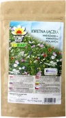 Nasiona i cebule - Toraf Kwietna łąka nasiona kwiatów 100g 01476 - miniaturka - grafika 1