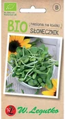 Nasiona na kiełki - Legutko Słonecznik BIO - miniaturka - grafika 1
