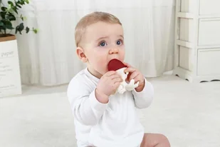 Mombella Silikonowy Gryzak zabawka Ośmiornica Red - Gryzaki dla dzieci - miniaturka - grafika 5