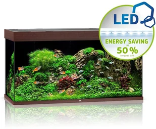 Juwel Rio 350 LED ciemne drewno - akwarium RIO 350 LED 07750 - Akwaria i zestawy akwarystyczne - miniaturka - grafika 2