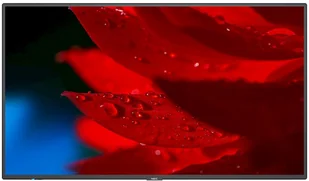NEC MultiSync P495 - Monitory reklamowe i wyświetlacze - miniaturka - grafika 2