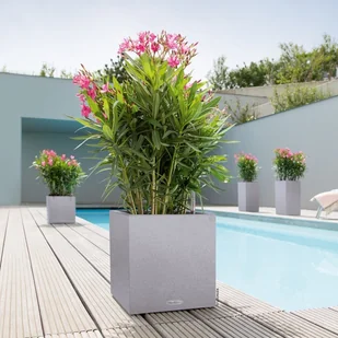 Lechuza Donica CANTO Stone Kostka 30 biały kwarcowy CANTO S. KOS 30 KWAR - Donice - miniaturka - grafika 9