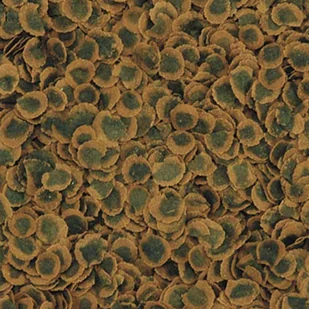 Tetra Pro Algae 500ml 44488-uniw - Pokarm dla ryb - miniaturka - grafika 2