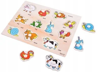 Zestaw dla naukowca Mikroskop i akcesoria - Mikroskopy i lupy - miniaturka - grafika 24