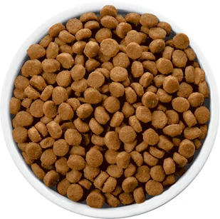 Hills Prescription Diet C/D Urinary Care Canine 12 kg - Sucha karma dla psów - miniaturka - grafika 3