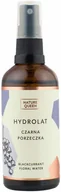 Toniki i hydrolaty do twarzy - Nature queen Nature Queen Hydrolat z Czarnej Porzeczki 100ml NATQ-1587 - miniaturka - grafika 1