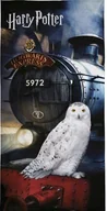 Okrycia kąpielowe dla dzieci - Ręcznik Plażowy 70X140 Harry Potter Hogwarts - miniaturka - grafika 1