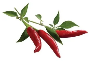 Click&Grow Kapsułki z nasionami Smart Soil 3 szt. papryczki chilli 4742793007311 - Nasiona i cebule - miniaturka - grafika 2