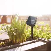 Lampy ogrodowe - Paulmann 78896 taśma LED solarna 3 m ciepła biel - miniaturka - grafika 1