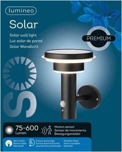 Kaemingk Kinkiet solarny LED 897840 stal nierdzewna czujnik - Lampy ogrodowe - miniaturka - grafika 3