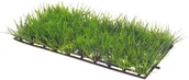 Dekoracje do akwarium - Hobby Plant mat, 25 x 12.5 cm 41530 - miniaturka - grafika 1