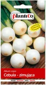 Nasiona i cebule - Plantico Cebula zimująca - miniaturka - grafika 1
