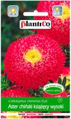 Nasiona i cebule - Plantico Aster chiński Książęcy czerwony - miniaturka - grafika 1