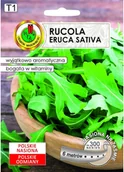 Nasiona i cebule - Pnos Rucola Eruca Sativa 6 m - miniaturka - grafika 1