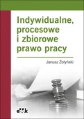 Prawo - Żołyński Janusz Indywidualne procesowe i zbiorowe prawo pracy - dostępny od ręki, natychmiastowa wysyłka - miniaturka - grafika 1