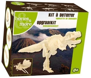 Geo Kids/Navir/DAM Bones&More, Duży szkielet dinozaura - wykopalisko odcisk łapy mokopico-1752-0 - Zabawki kreatywne - miniaturka - grafika 2