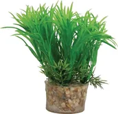 Dekoracje do akwarium - Zolux Roślina mała z zestawu nr 1 - miniaturka - grafika 1