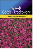 Nasiona i cebule - Top Decor Nasiona goździk kropkowany Carmine Red - miniaturka - grafika 1