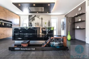 WaterRower Wioślarz wodny Club S4 Jesion a-ty WW-WR-150-S4 - Wioślarze - miniaturka - grafika 20