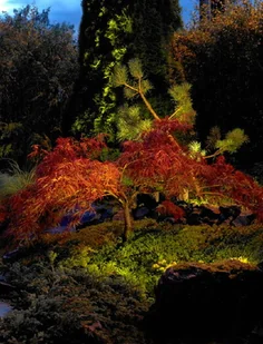 Norlys Oprawa najazdowa RENA 1556 STEEL - Lampy ogrodowe - miniaturka - grafika 2