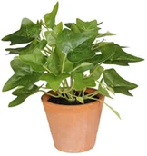 Sztuczne kwiaty - SPLENDID Bluszcz sztuczny w doniczce 22 cm SPLENDID - miniaturka - grafika 1